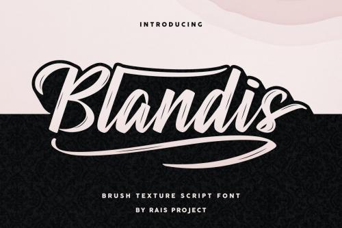 Blandis Brush Font 1