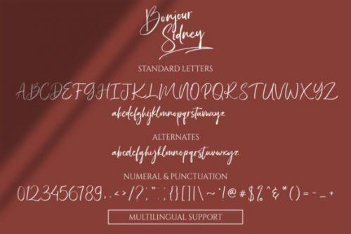 Bonjour Sidney Calligraphy Font 10