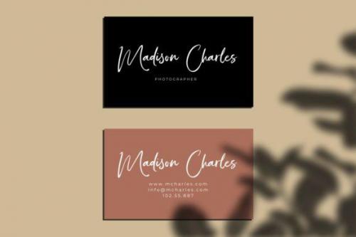 Bonjour Sidney Calligraphy Font 5