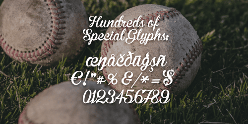 Brannboll Ny Script Font 4