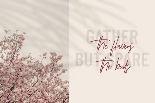 Bravingthon Signature Font 4