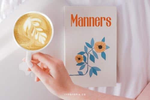 Brianne A Classy Display Font 4