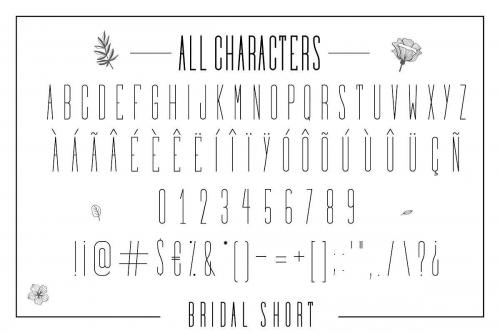 Bridal Font 16