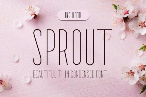 Bridal Font 17