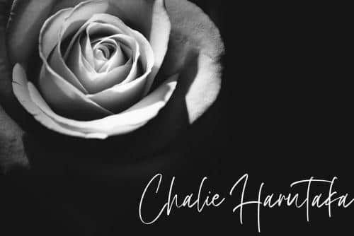 Brilliant Handwritten Font 2