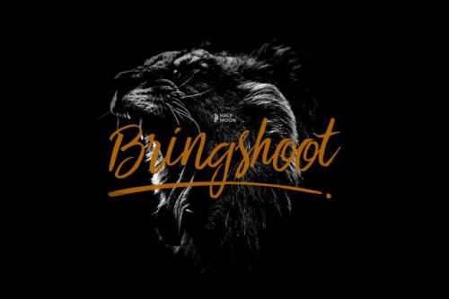 Bringshoot Font