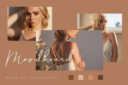 Brittney Queen Script Font 3