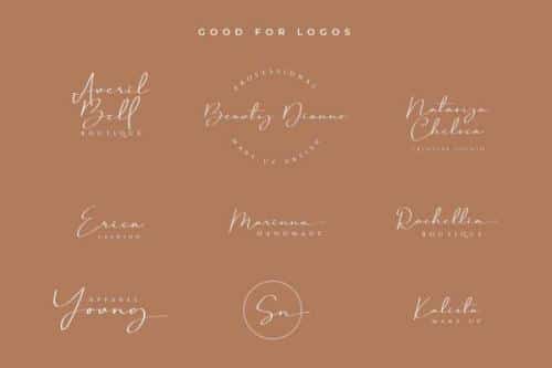 Brittney Queen Script Font 8