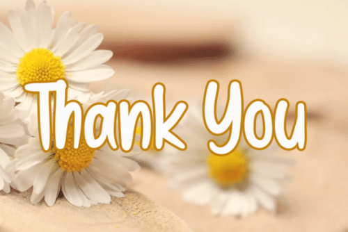 Brownie Cake Display Font 5