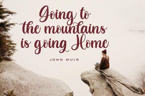 Butterfly Calligraphy Font 11