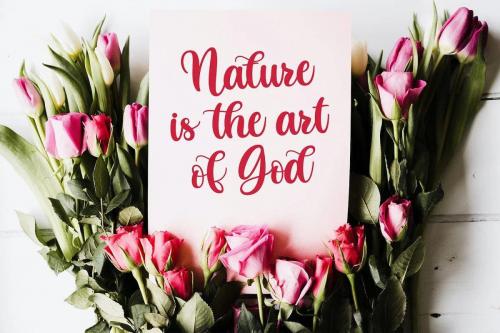 Butterfly Calligraphy Font 3