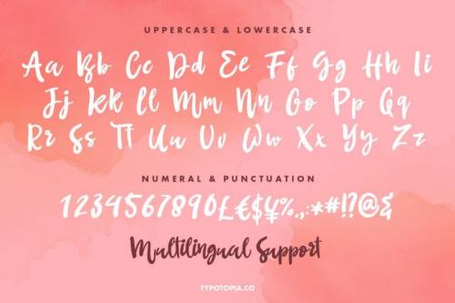 Butterfree Girly Script Font 1