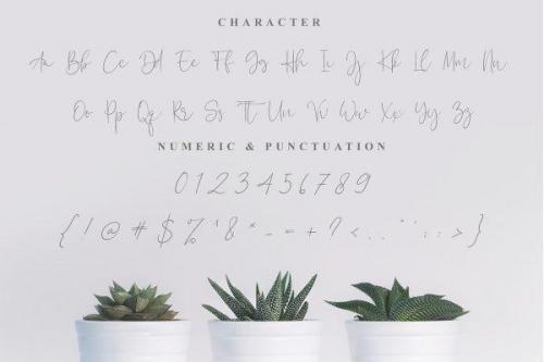 Calistin Font 11