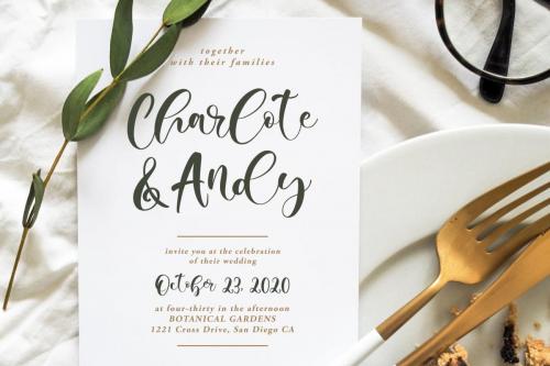 Camila Audrey Beautiful Script Font 4