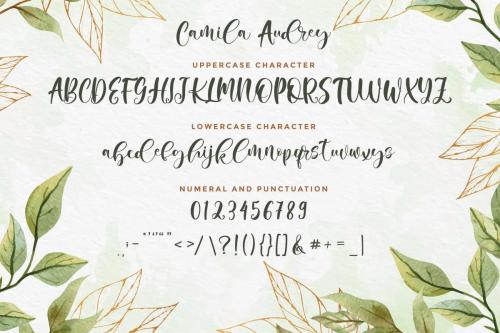 Camila Audrey Beautiful Script Font 5