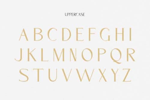 Cassiopeia Serif Font 3