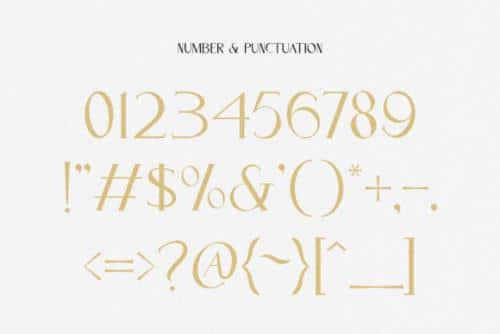 Cassiopeia Serif Font 5