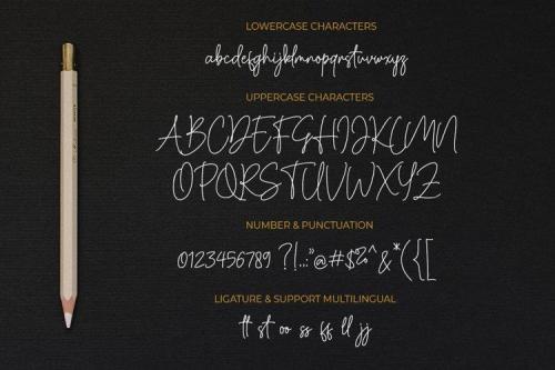 Cassual Signature Font 6