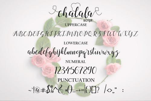 Chalala Script Font 8