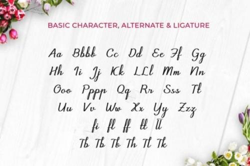 Chiqua Script Font 4