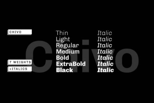 Chivo Sans Serif Font Family 2
