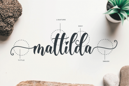 Christina Calligraphy Font 10