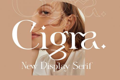 Cigra Serif Font 1