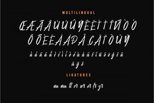 City Of Panonama Script Font 8