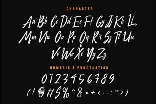 City Of Panonama Script Font 9