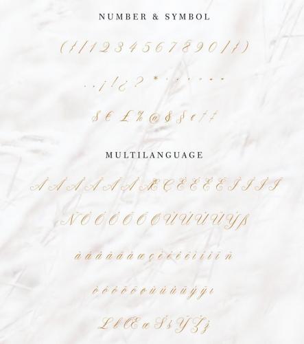Claudya Script Font 11
