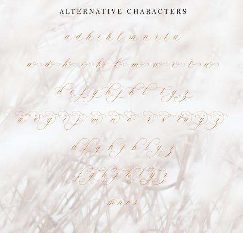 Claudya Script Font 12