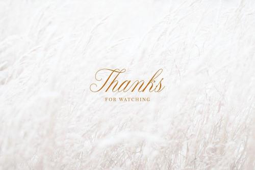 Claudya Script Font 13