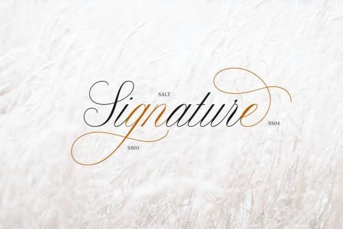 Claudya Script Font 6
