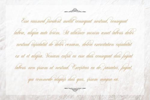 Claudya Script Font 9