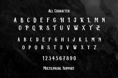 Corona Serif Font 2