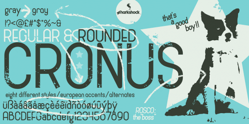 Cronus Font Family 1