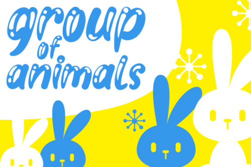 Cute Animal Display Font 2
