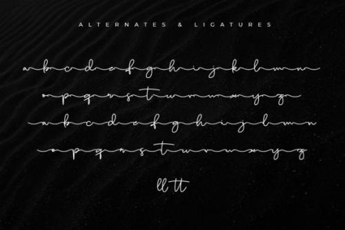 Dailymunt Handwritten Font 7