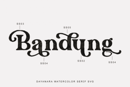 Dayanara Serif Font 4
