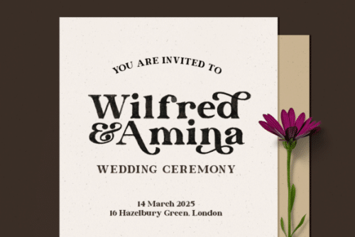 Dayanara Serif Font 8