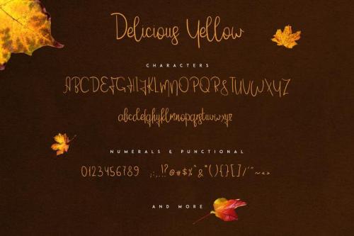 Delicious yellow Script Font 4