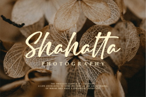 Delight Creations Script Font 7