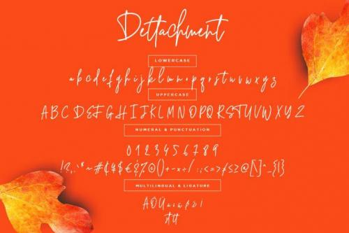 Dettachment Handwritten Font 7
