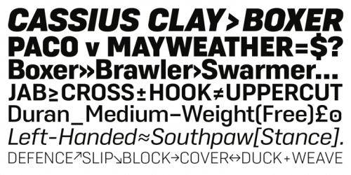 Duran Sans Serif Font 4