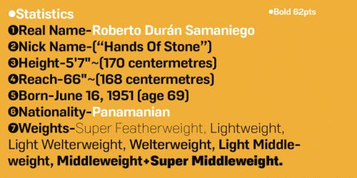 Duran Sans Serif Font 5