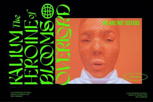 Dx Sitrus Display Font 10