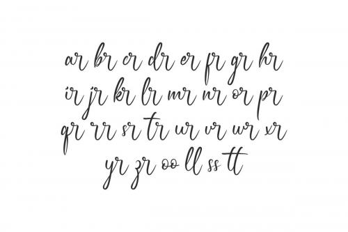 Fake Soul Script Font 6