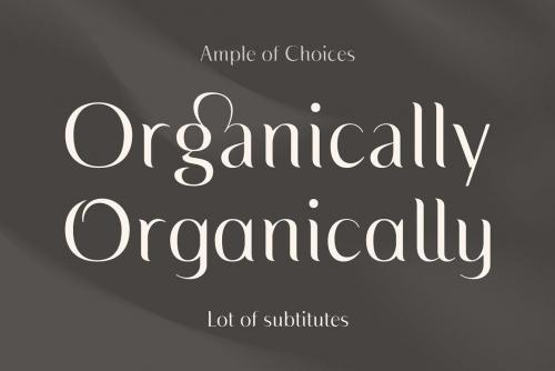 Florania Sans Serif Font 2