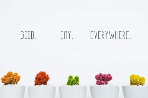 GREEN HOME Sans Serif Font 1