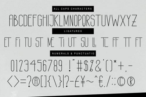 GREEN HOME Sans Serif Font 8